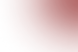 Company Logo Item Shadow